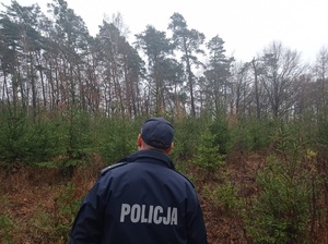 Policjant  podczas patrolu na terenie leśnym
